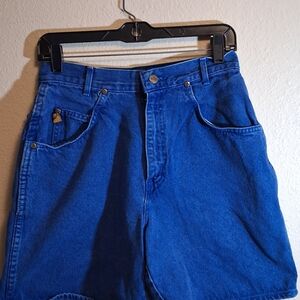 Chic Blue Jean Shorts Size 11 260741